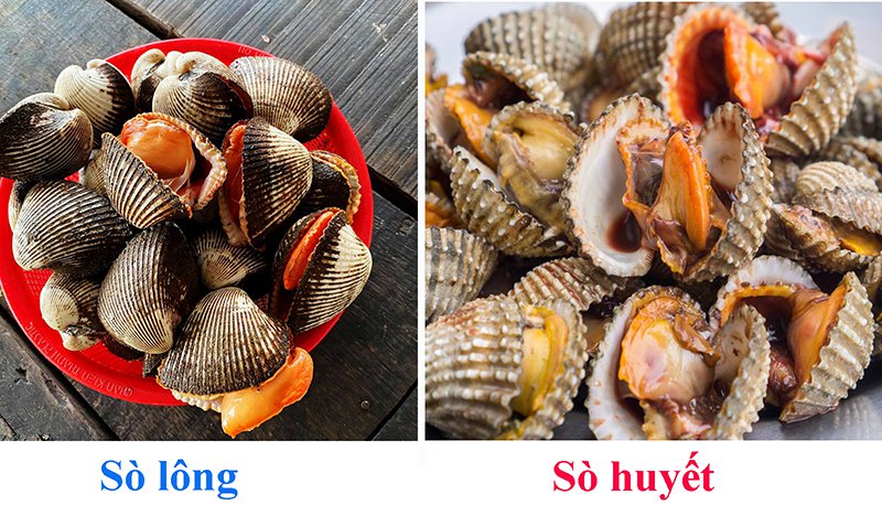 so-huyet